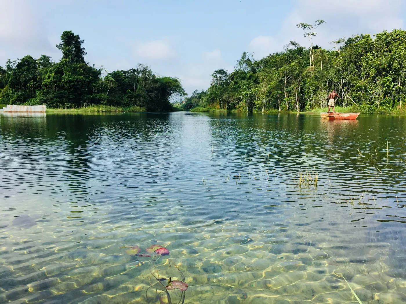 The clear water of the Ethiope River at Abraka, Delta State, with forest on both banks and a man standing in a small boat