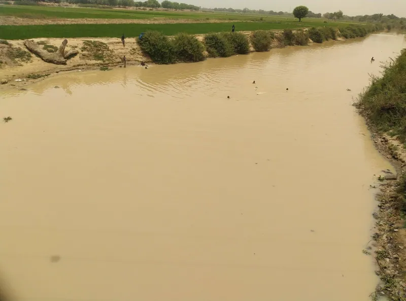 The River Hadejia in northern Nigeria. The Hadejia-Jama'are catchment is where ACReSAL piloted its catchment planning method.