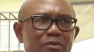 Peter Obi, NDC presidential candidate
